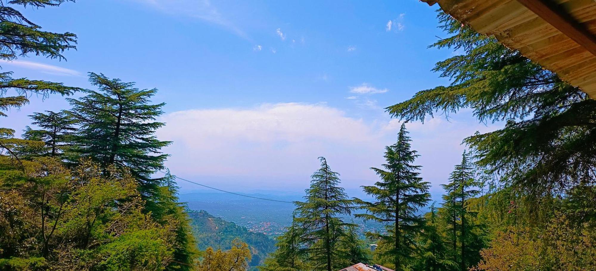 Mcleodganj Bed & Breakfast McLeod Ganj Zewnętrze zdjęcie